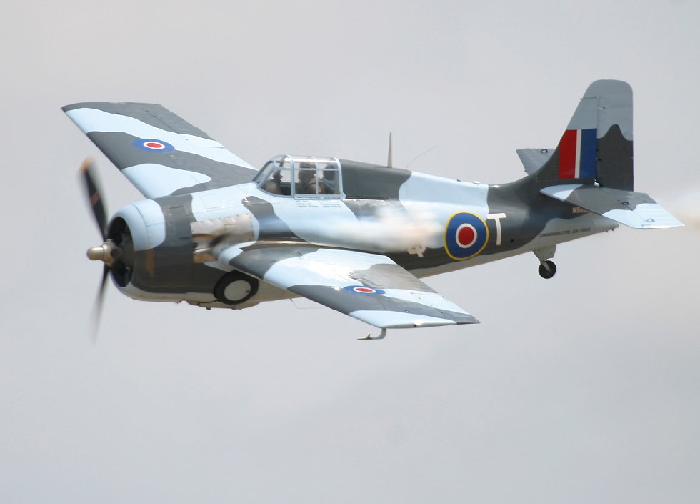 FM-2 Wildcat painted as a British Martlet