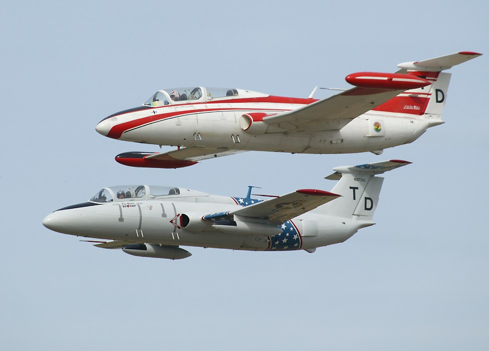 Thunder Delfin Soviet L29 jet trainers