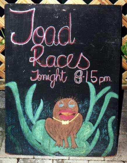 sign announcing cane toad racing