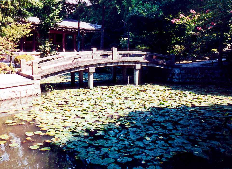 Chion-in temple pond