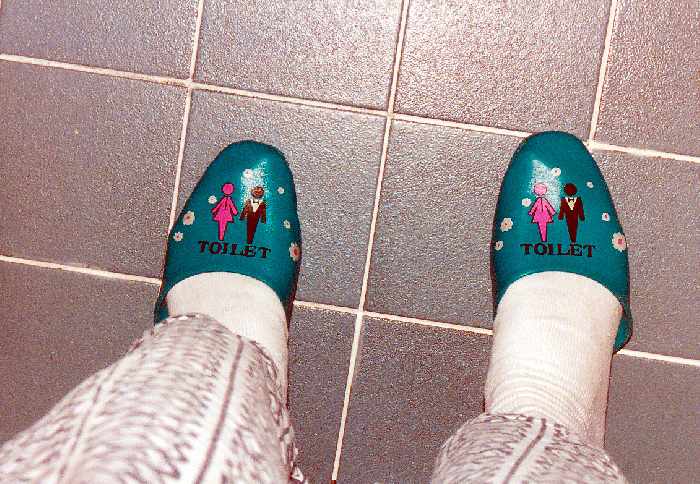 me in toilet slippers