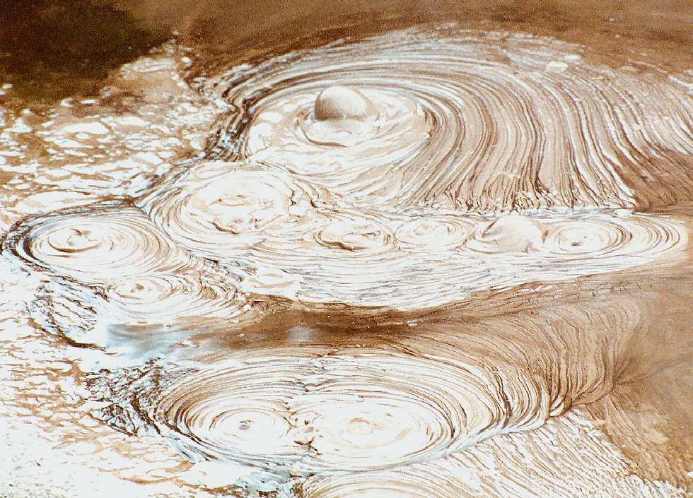 attractive circles in watery mud