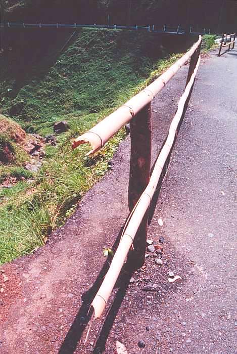 bamboo road barrier