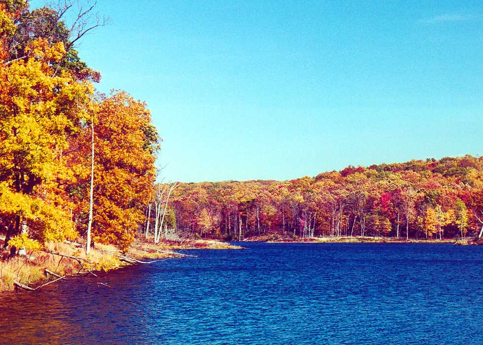 medium angle shot of Blue Mountain Lakes foliage