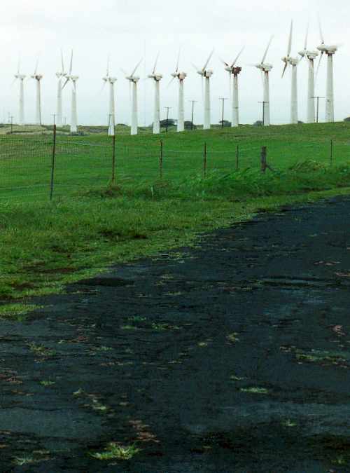 wind turbines beside the road to Ka Lae