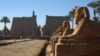 avenue of the sphinxes at Luxor temple photographed in December of 2003 using a Canon D60 digital camera and Canon 28-105mm lens set to 28mm  (1/180th second, f6.7, ISO 100)